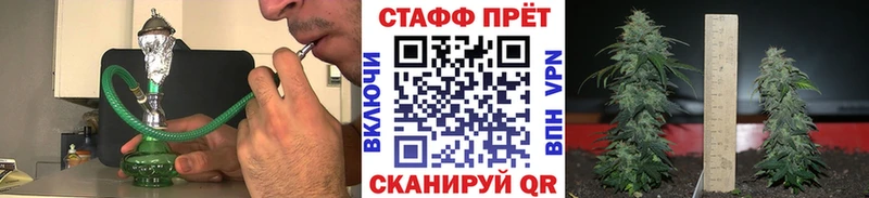 Что такое Венёв Бошки Шишки МЕФ