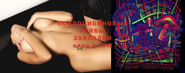 ПСИЛОЦИБИНОВЫЕ ГРИБЫ Баксан