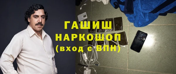 индика Балахна
