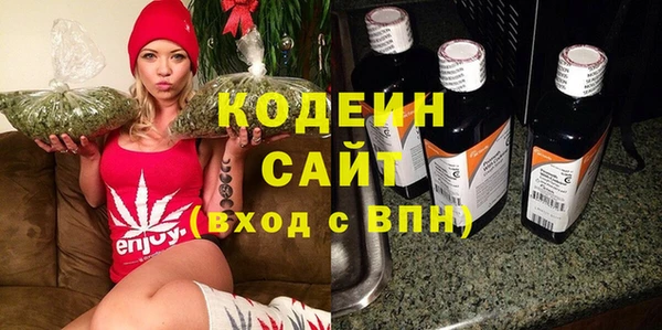 индика Балахна