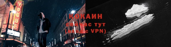 индика Балахна