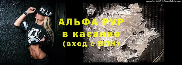 ПСИЛОЦИБИНОВЫЕ ГРИБЫ Баксан