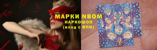 ПСИЛОЦИБИНОВЫЕ ГРИБЫ Баксан