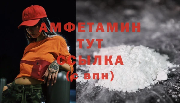 ПСИЛОЦИБИНОВЫЕ ГРИБЫ Баксан