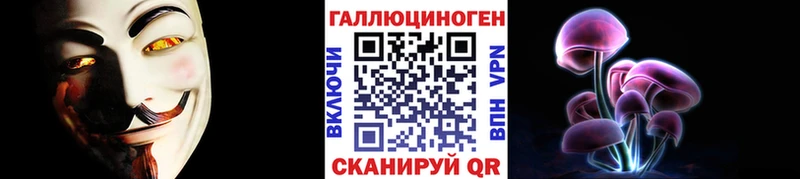 дарнет шоп  Венёв  Псилоцибиновые грибы прущие грибы 